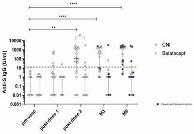 Longitudinal evaluation of the impact of immunosuppressive regimen on immune responses to COVID-19 vaccination in kidney transplant recipients